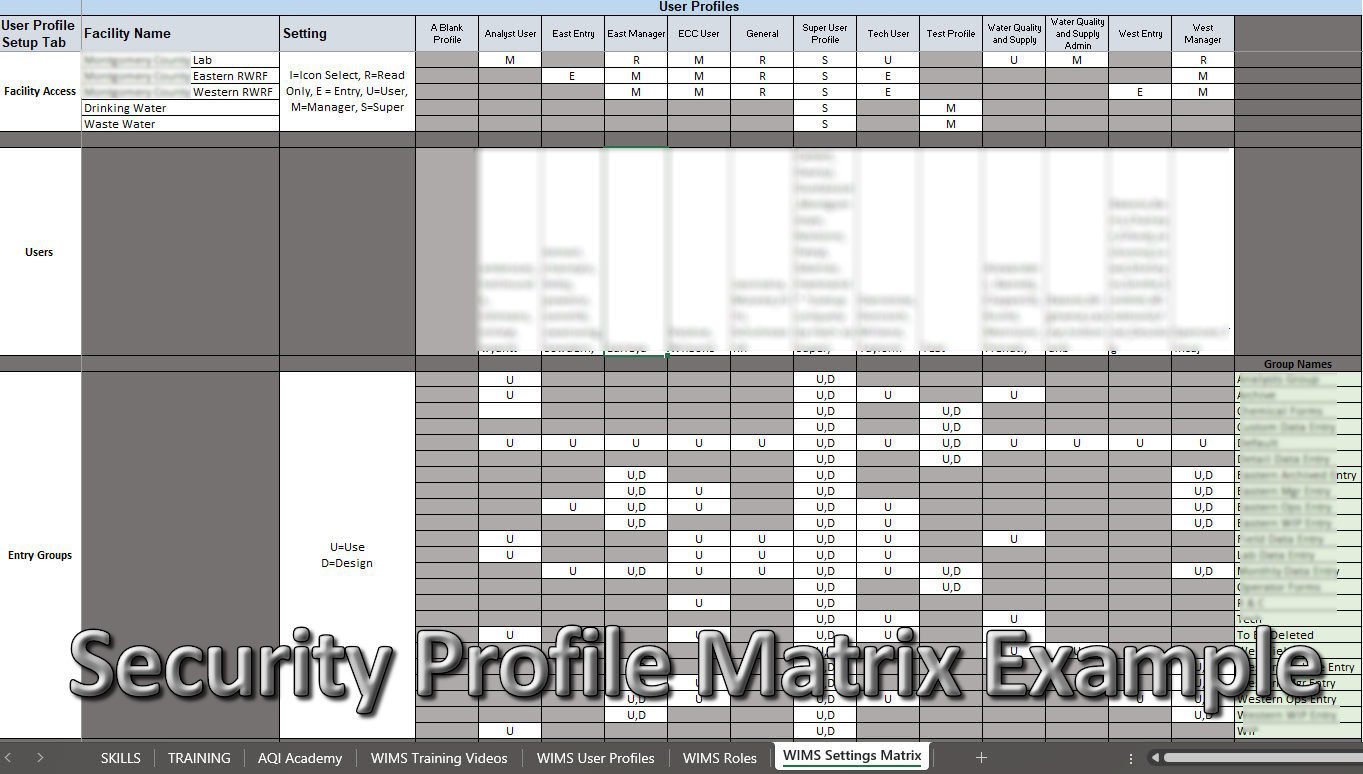 An excel file with a WIMS Security Matrix. The matrix has multiple columns and rows of various sizes and colored backgrounds.